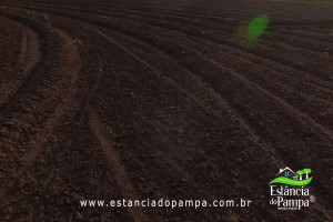 Fazenda com 1496 ha em Cachoeira do Sul localidade Irapu�.00_22_41_30.Quadro059_6925ab85f4ce5c2ffd08467f78e073376bc5b3a1.jpg